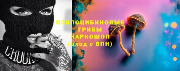 каннабис Новозыбков