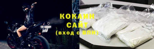 каннабис Новозыбков