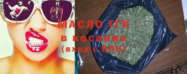спиды Бикин