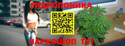 прущая мука Кингисепп