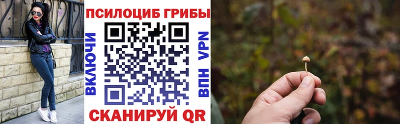 Галлюциногенные грибы Cubensis  где купить наркоту  Аксай 