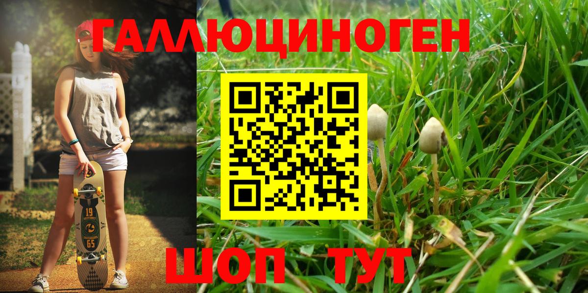 Галлюциногенные грибы GOLDEN TEACHER Аксай