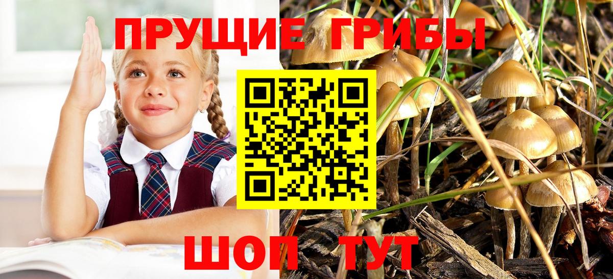 Аксай  Псилоцибиновые грибы Magic Shrooms  Вход с VPN 